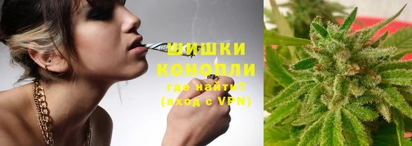 ECSTASY Богданович