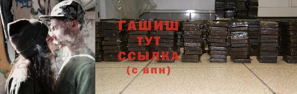 ECSTASY Богданович