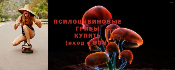 амфетамин Богородицк