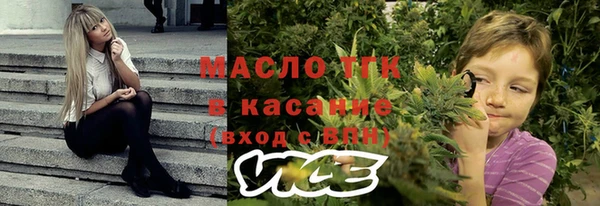 ECSTASY Богданович