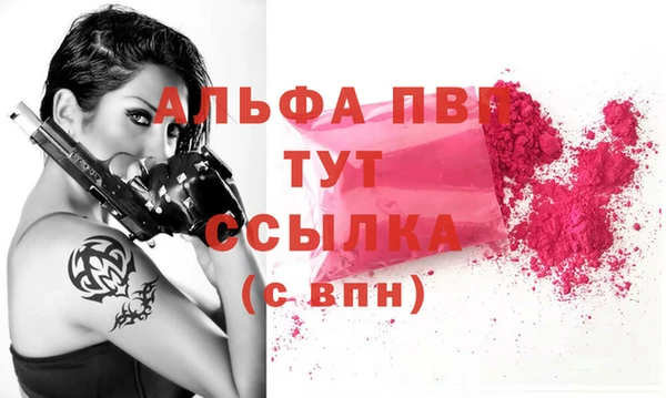 ECSTASY Богданович