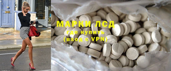 ECSTASY Богданович