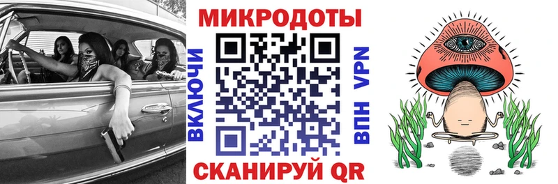 Купить  Пойковский  Галлюциногенные грибы Cubensis 